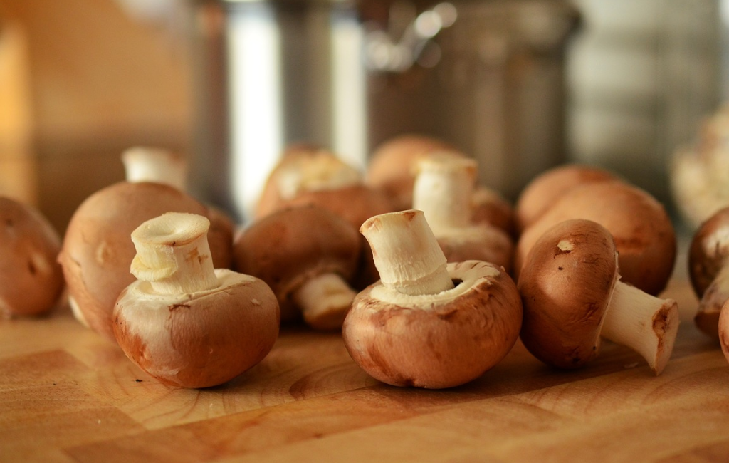 Mushrooms, Gold IRAs, THCa, Delta 9 Gummies & Peptides Health Options